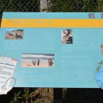 TourdSoCal_1_0074 (September 11, 2015)